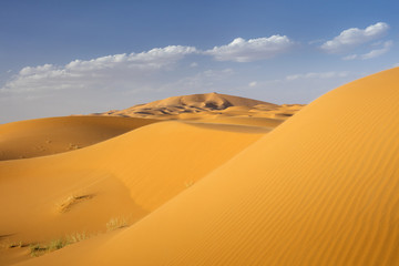 Fototapeta na wymiar dunes and clouds above sand in Sahara desert in Morocco
