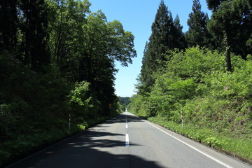 森林の中の一本道　ドライブ　青空