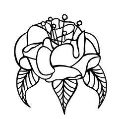 decorative flower, hand-drawing vector illustration sketch