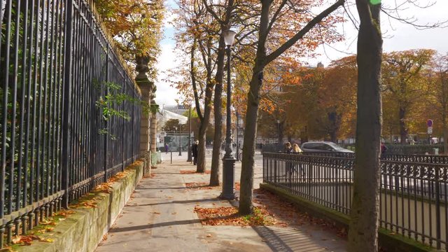 PARIS, FRANCE - SEPTEMBER 29, 2017: Steadicam shot of walking along sidewalk lined with autumn trees, foliage on the ground
