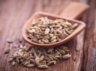 Fennel seeds