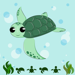 The little sea turtle swimming underwater