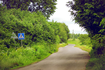 The asphalt road in the countryside on a summer day.