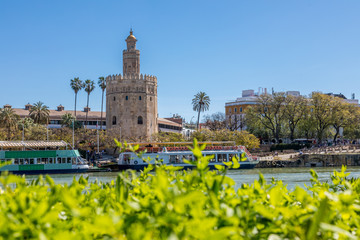 Fototapeta premium Torre del Oro à Séville
