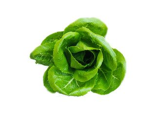 Fresh Cos lettuce leaf isolated on white background(top view)