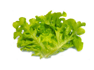 Lettuce leafs isolated on white background