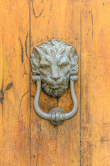 A lion-shaped knocker against a wooden door