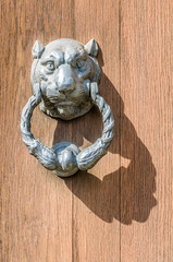A sunlit lion-shaped knocker casting its shadow on a wooden door