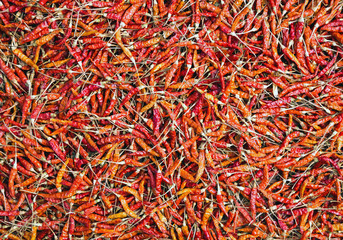 Fototapeta premium The color of dried peppers.