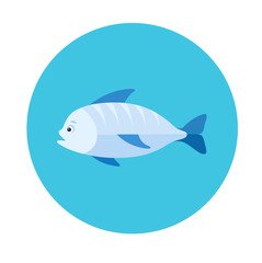 Sea fish flat icon