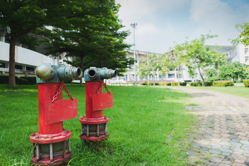 Two red fire hydrants in the lawn