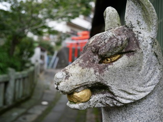Temple guardian