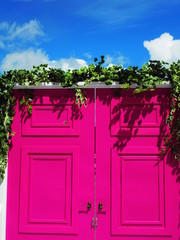 amaranth Magenta color wooden decorative door on sky background with clouds