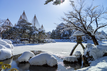 冬の金沢　雪の兼六園　※灯籠の隣のモミジは若い木に変わりました