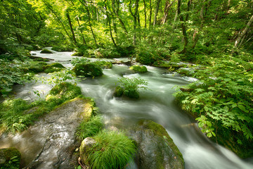 Obraz premium zdjęcie