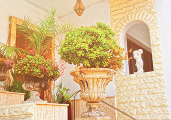 Green plants at the house stairs at Mgarr spring