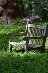 Sunlit garden bench