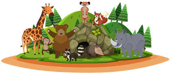 Animals at the Beautiful Nature