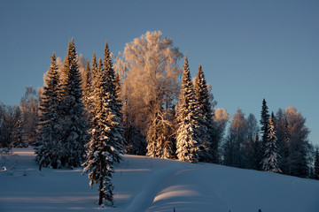 Russia. The South Of Western Siberia. Sunny winter day in mountain Shoria.