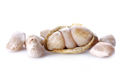 peanut on white background