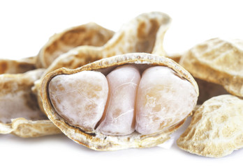peanut on white background