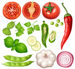 A Set of Vegetable on White Background