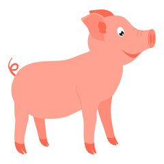 Colorful cartoon happy standing pig side view