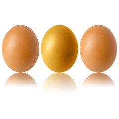 chicken egg and shadow on white background