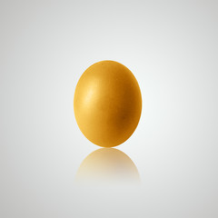 chicken egg and shadow on white background