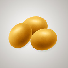 chicken egg and shadow on white background