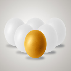 chicken egg and shadow on white background