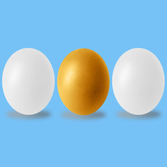 chicken egg and shadow on white background
