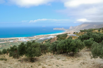 Fototapeta na wymiar Landscape with trees, coast and blue sea, in Crete, Greece.