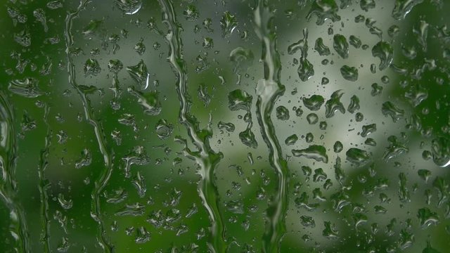 Spring garden blurred view through rainy window. Water dripping on vertical glass in slow motion. Vibrant abstract natural background. High speed camera shooting.
