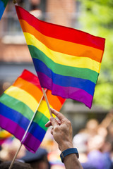 Rainbow flags flying in bright sun on the sidelines of a colorful summer gay pride parade