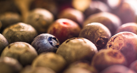 Blueberry