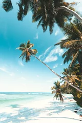 Tropischer Strand auf den Seychellen © Beboy
