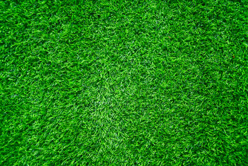 Fototapeta premium Soccer field or football field background.