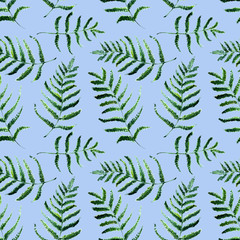 Seamless Realistic Watercolor Greenery Pattern. Hand Drawn Fern Leaves and Branches Print. Summer, Spring Forest Herbs, Plants Texture. Foliage in Vintage Style. Nature Eco Friendly Concept. Textile