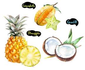 carambola coconut pineapple watercolor