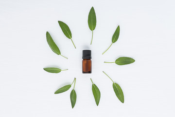 Bottle of essential sage oil and sage leave. Sage isolated on white background