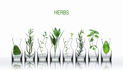 Bottle of essential oil with herbs lemon balm, lavender, oregano, sage, thyme, rosemary, mint and...