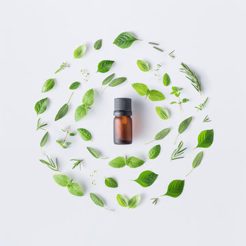 Bottle of essential oil with round shape of fresh herbs and spices basil, sage, rosemary, oregano, thyme, lemon balm  and peppermint setup with flat lay on white background