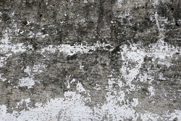 Grey grunge texture cement wall. copy space