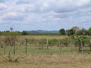 Fototapeta na wymiar Feld - Landwirtschaft auf Kuba, Karibik