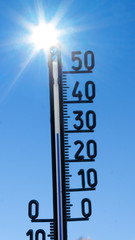heat wave in summer