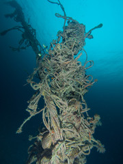 Naklejka na ściany i meble Underwater tower of abandoned ropes twirled together