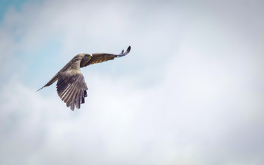Eye in the sky