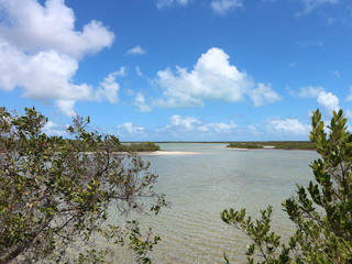 Lagune mit Mangriven auf Kuba, Cayo Coco, Jardines Del Rey