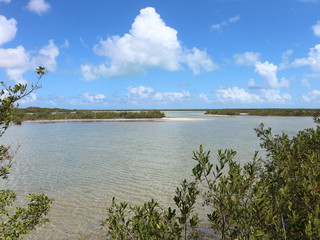 Lagune mit Mangriven auf Kuba, Cayo Coco, Jardines Del Rey